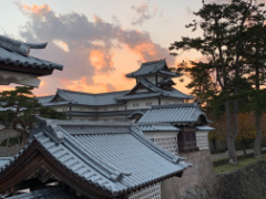 株式会社クリアソリューション社内イベント 2018年国内旅行1
